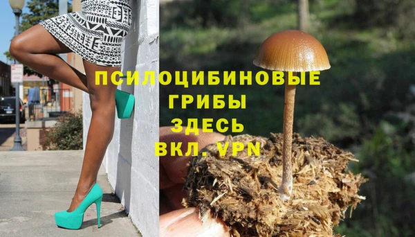 прущие крисы Дмитриев