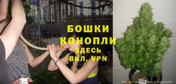 не бодяженный Дмитровск