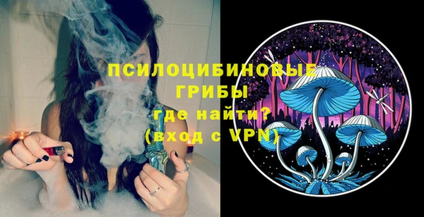 прущие крисы Дмитриев