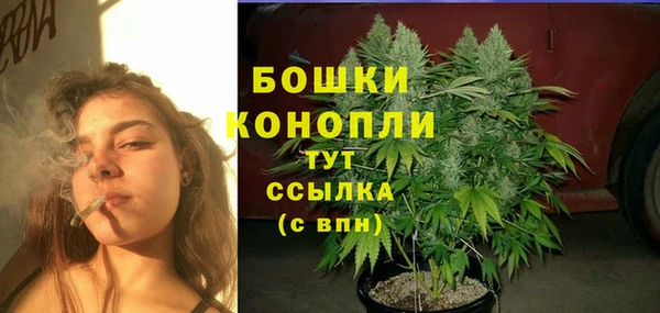 не бодяженный Дмитровск