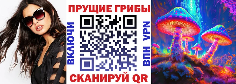 Галлюциногенные грибы MAGIC MUSHROOMS  Купить закладки  Кашира 